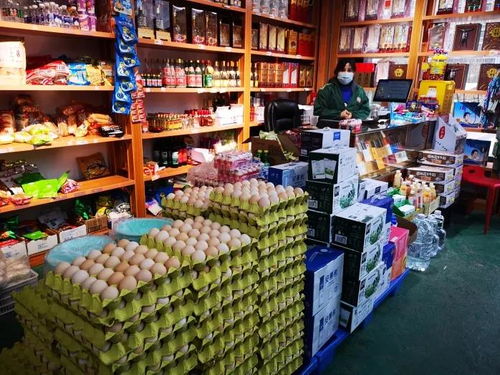雁塔區啟動“三?！毙袆?，全力保障食用農產品批發供應穩定