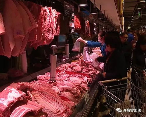 許昌市為禽畜產品配備“身份證”，開啟食用農產品追溯新時代